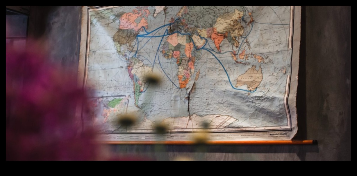 Wide-Angle Wonders: Εξερευνώντας τη δύναμη των premium φακών