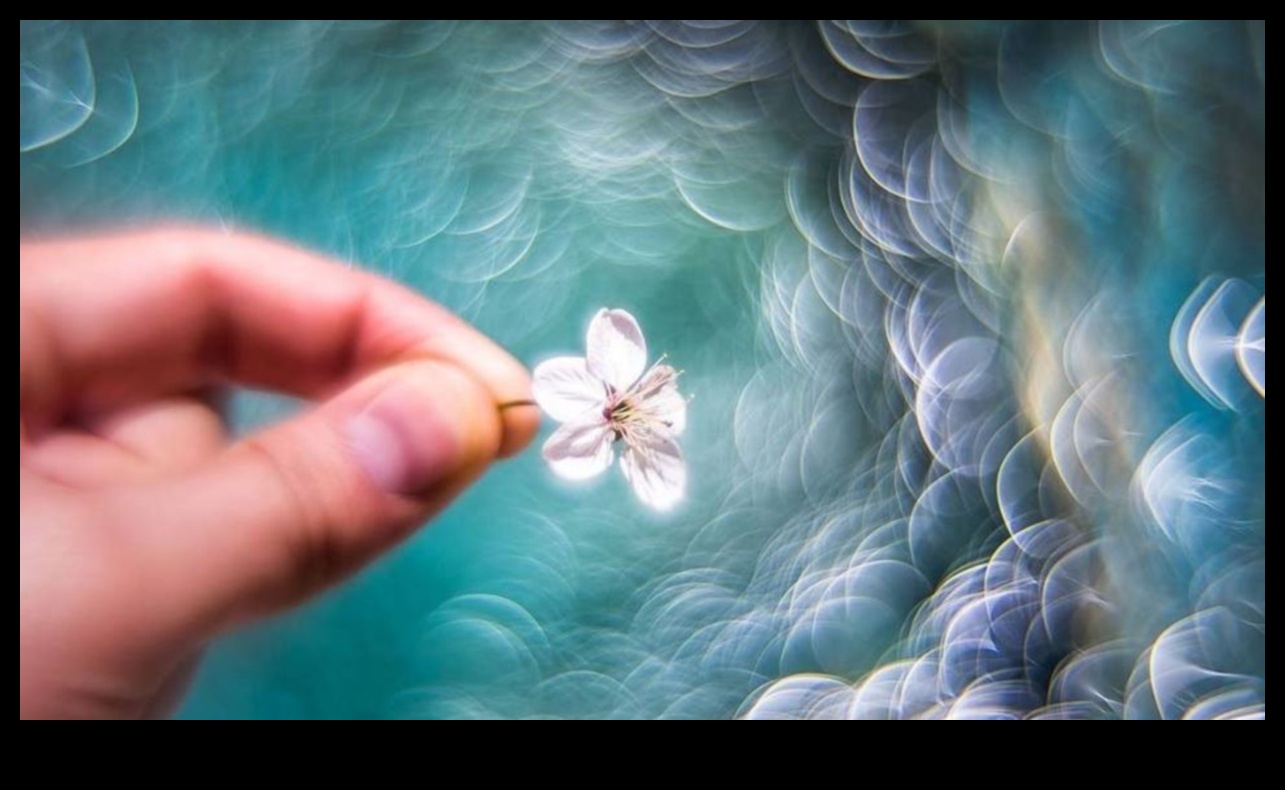 Εκπληκτικές κάμερες Bokeh που θα σας βοηθήσουν να απαθανατίσετε το Magic 5 Μπόκε που κόβει την ανάσα: Κάμερες με όμορφο θάμπωμα φόντου