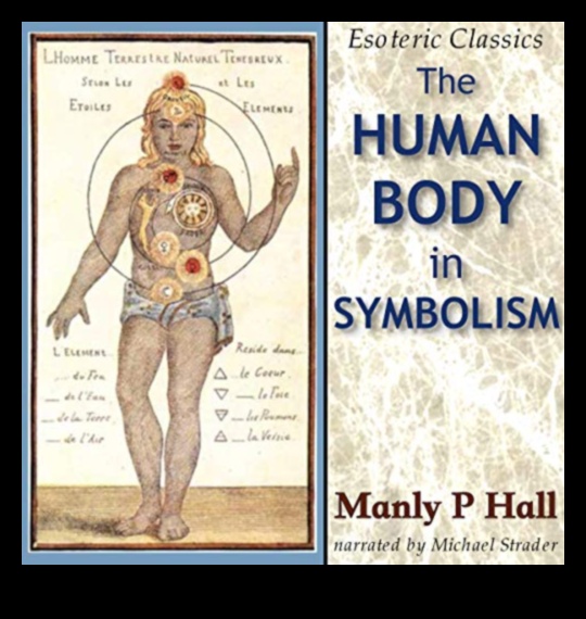 Signs in Skin: Exploring Symbolic Chronicles