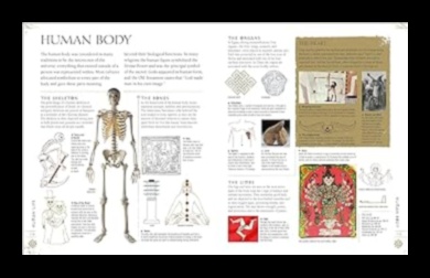 Signs in Skin: Exploring Symbolic Chronicles