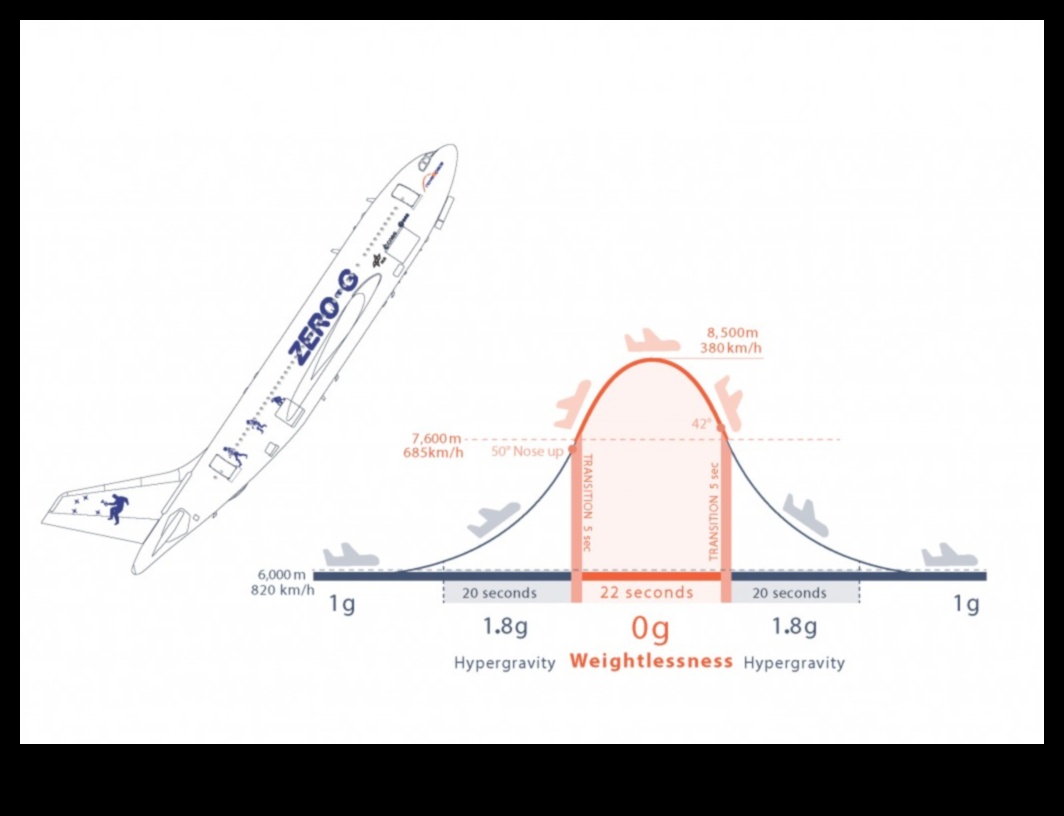 Zero-G Bliss: Reveling in the Joy of Weightlessness Beyond Earth