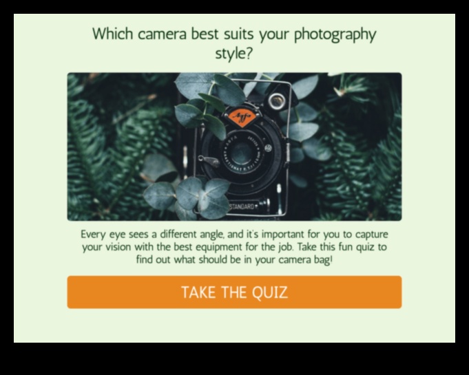 Στυλ κλείστρου: Εναρμόνιση της δημιουργικότητας με κάμερες υψηλής απόδοσης