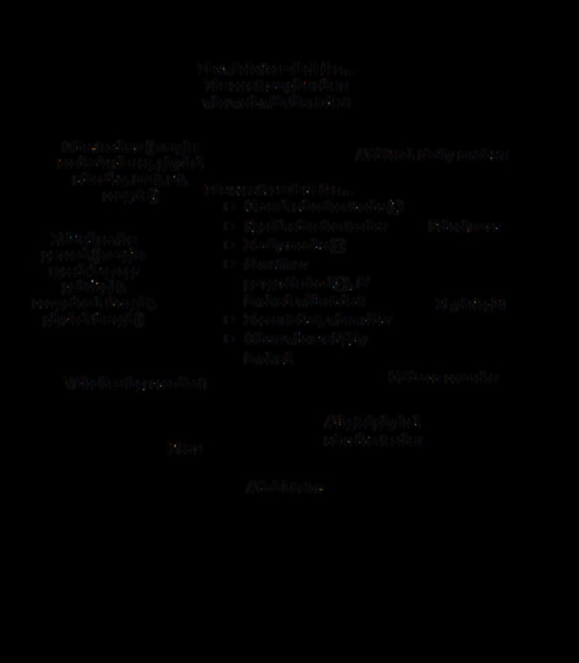 Κωδικός Ζευγαριών: Μαθήματα από Επιτυχείς Συνεργασίες