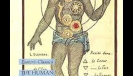 Signs in Skin: Exploring Symbolic Chronicles