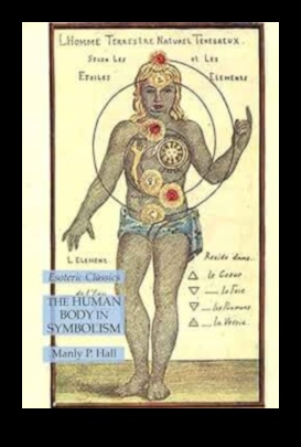 Signs in Skin: Exploring Symbolic Chronicles