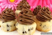 Dreamy Mocha Chocolate Chip Cupcakes