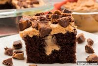 Peanut Butter Fudge Ripple Cake