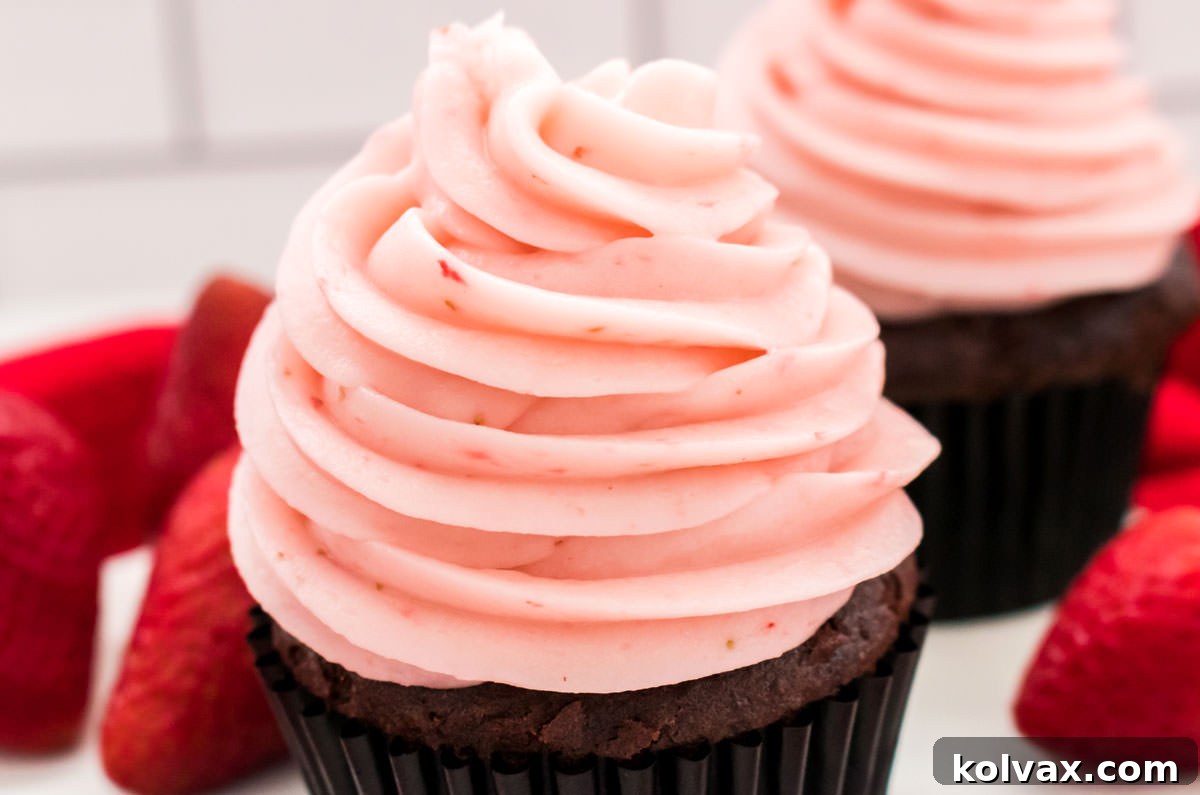 Two chocolate cupcakes elegantly topped with swirls of the best homemade strawberry buttercream frosting.