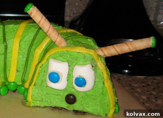 Caterpillar Cake Face Details