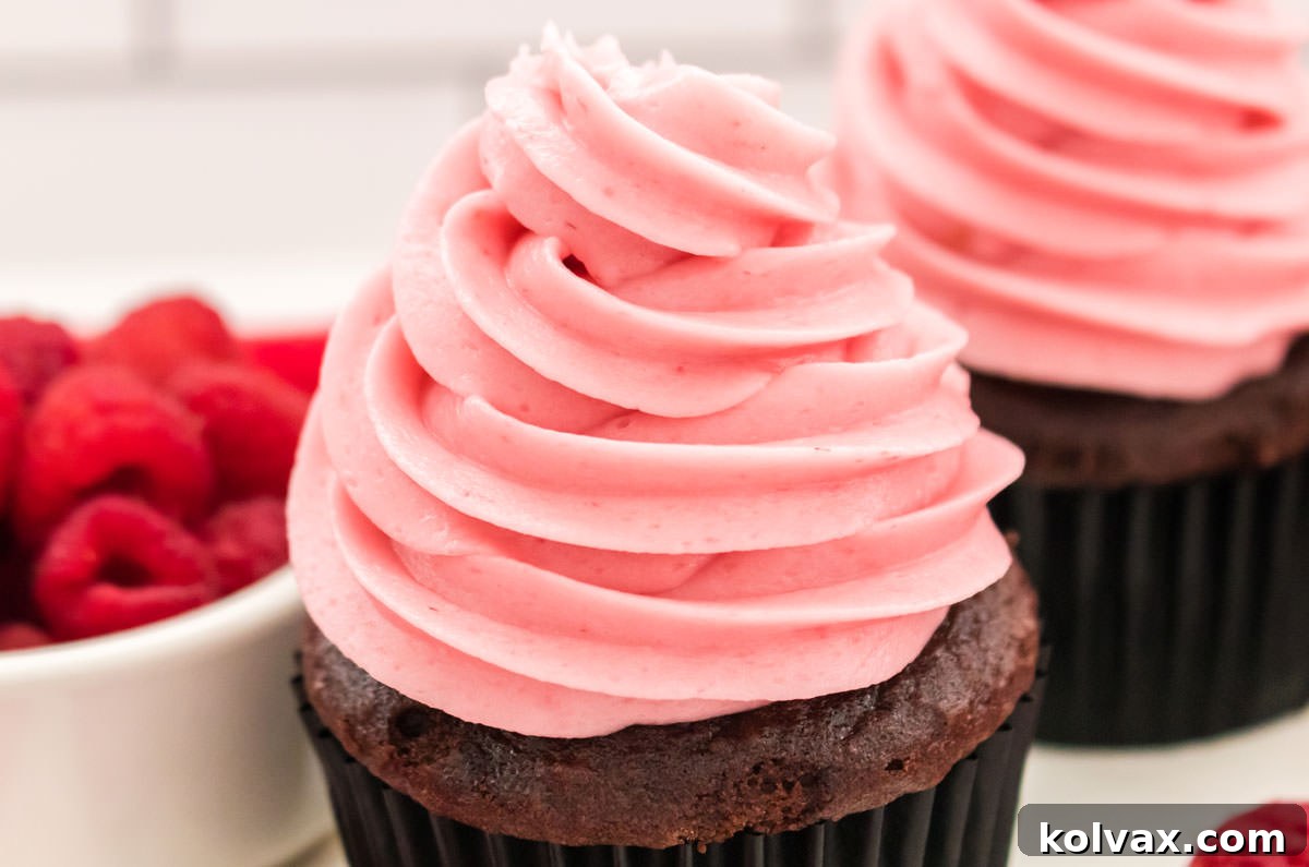 Closeup on two decadent chocolate cupcakes generously topped with elegant swirls of The Best Raspberry Buttercream Frosting.