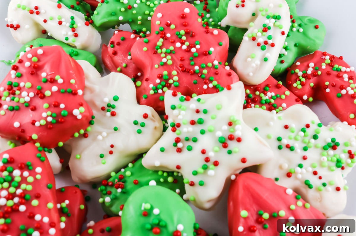 Closeup on a batch of Christmas Circus Animal Cookies on a white plate, showcasing their vibrant red, white, and green icing and festive sprinkles.