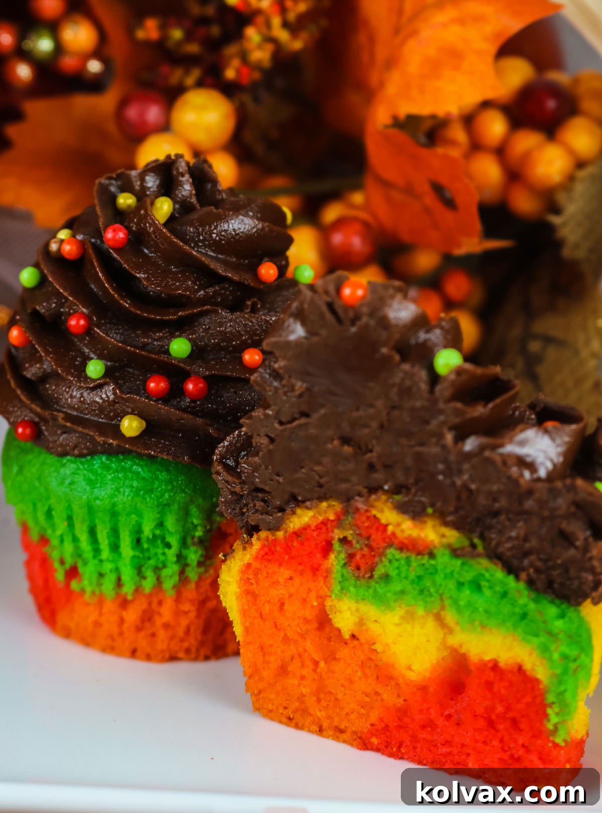 Closeup on two Harvest Marble Cupcakes, one cut in half, showing the intricate marbling effect in the cupcake and the delicious chocolate frosting.