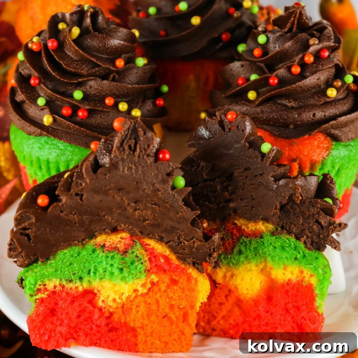 Harvest Marble Cupcakes