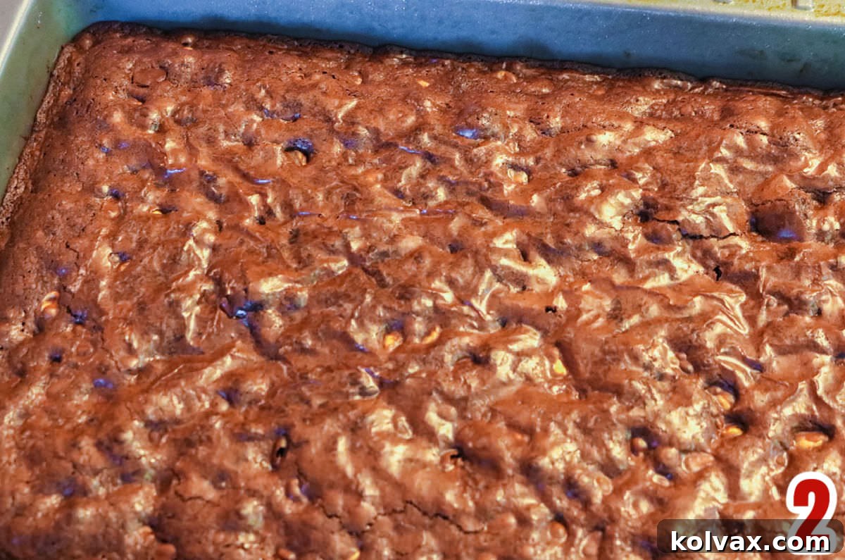 Decadent Peanut Butter Brownie Bars 4 Closeup on a pan of freshly baked brownies, still warm from the oven, their rich brown surface and slightly crinkled top promising a delicious fudgy texture. The pan sits on a cooling rack.