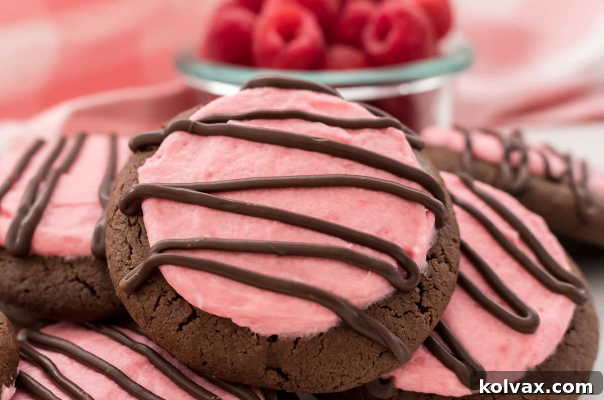 Close up of a Chocolate Cookie frosted with homemade Raspberry Frosting and decorated with a drizzle of melted chocolate.