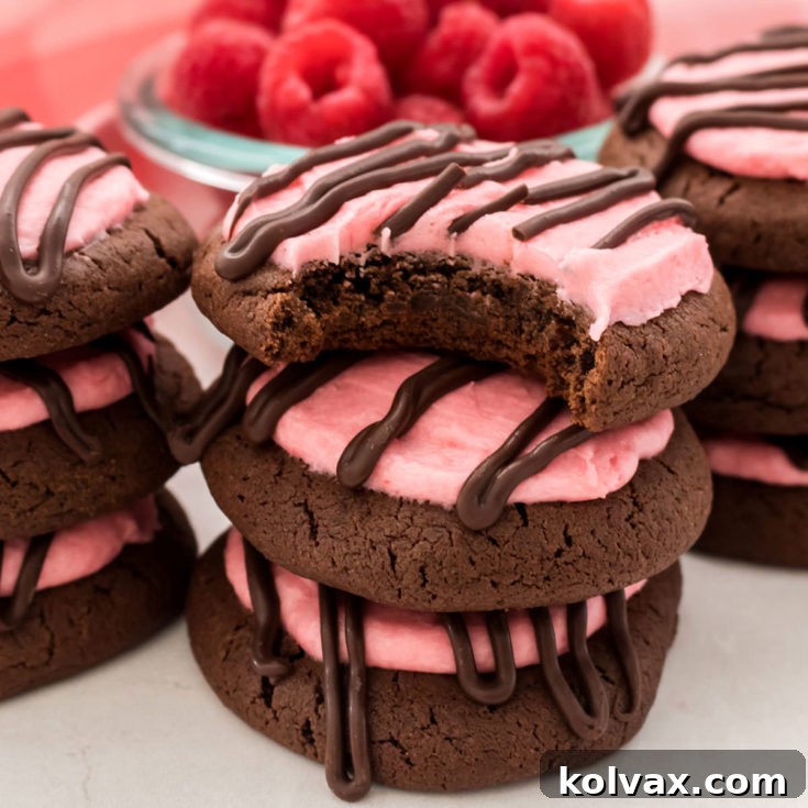 Chocolate Cookies with Raspberry Frosting