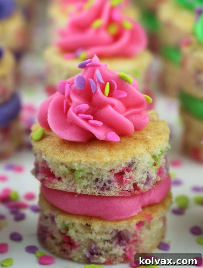 A top-down view of colourful Springtime Confetti Cake Bites arranged aesthetically.
