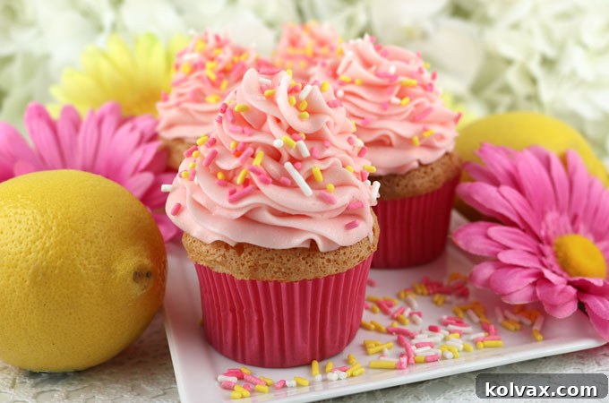 Pink Lemonade Cloud Cupcakes 2 Delightful Angel Food Cupcakes topped with vibrant Pink Lemonade Frosting, perfect for spring and summer gatherings.