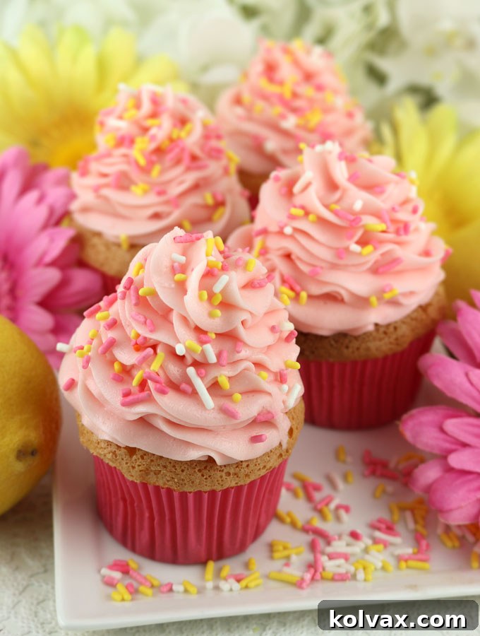 Pink Lemonade Cloud Cupcakes 8 Angel Food Cupcakes with Pink Lemonade Frosting