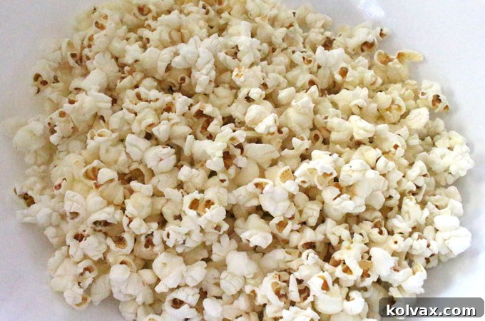 Freshly Popped Popcorn for Sing Popcorn