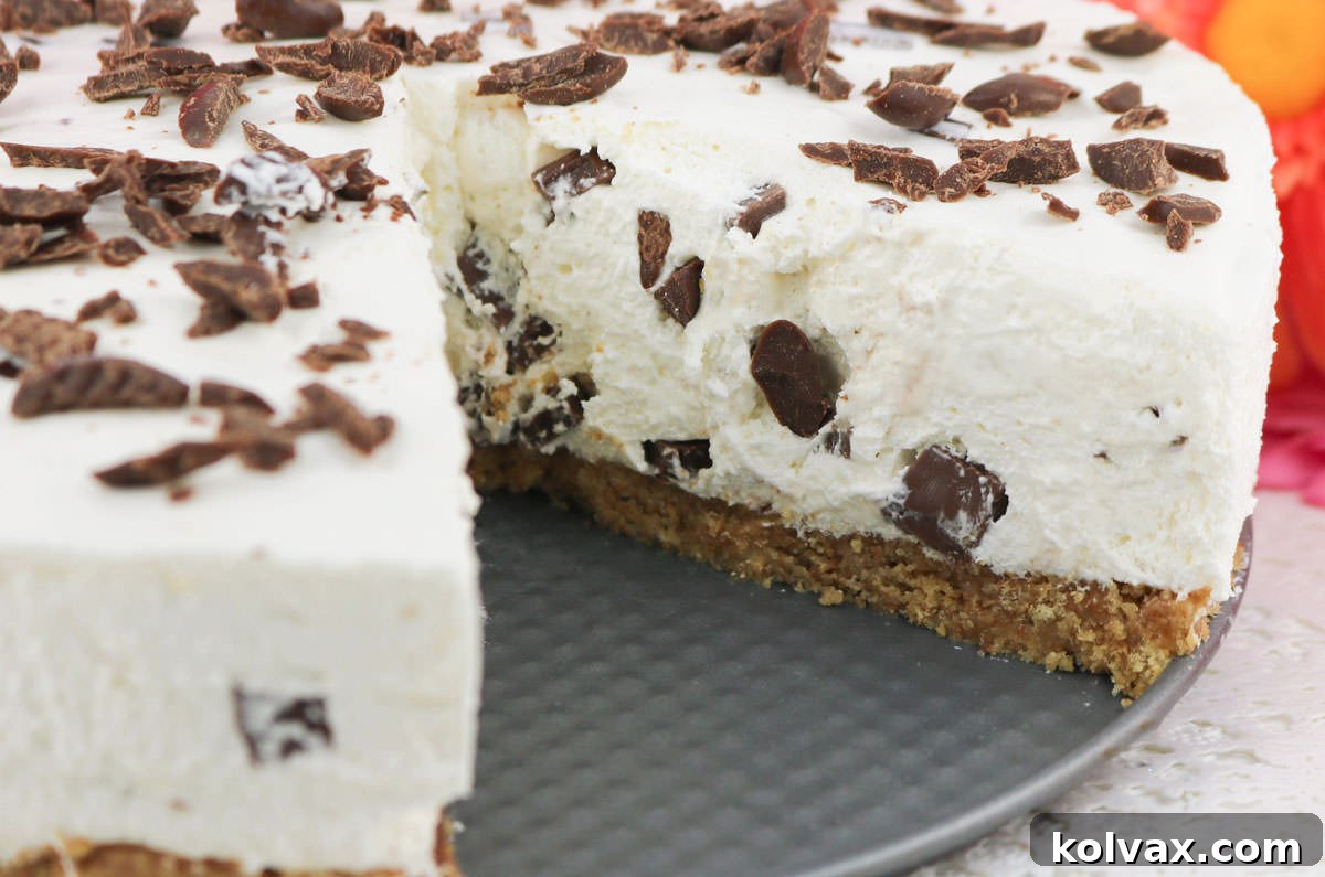 Closeup on a delicious S'more Pie with a single piece removed, showcasing its creamy layers and graham cracker crust.
