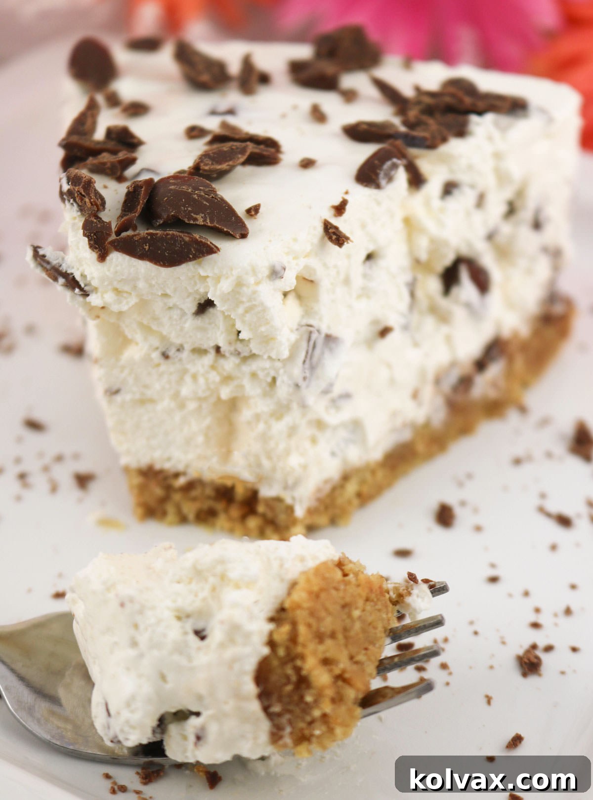 Closeup on a single, delectable piece of S'more Pie sitting on a white dessert plate, revealing its distinct graham cracker, marshmallow, and chocolate layers.