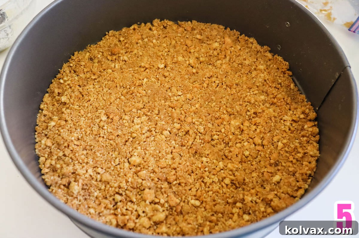 Closeup on a perfectly pressed graham cracker crust in a 9-inch springform pan, showing its firm and even base.
