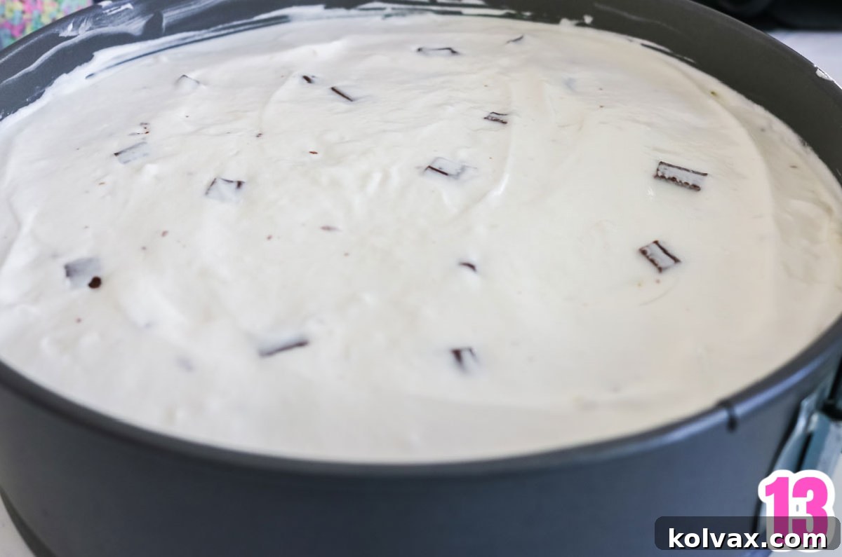 The S'more Pie smoothed and ready in its springform pan, prepared for refrigeration and setting.