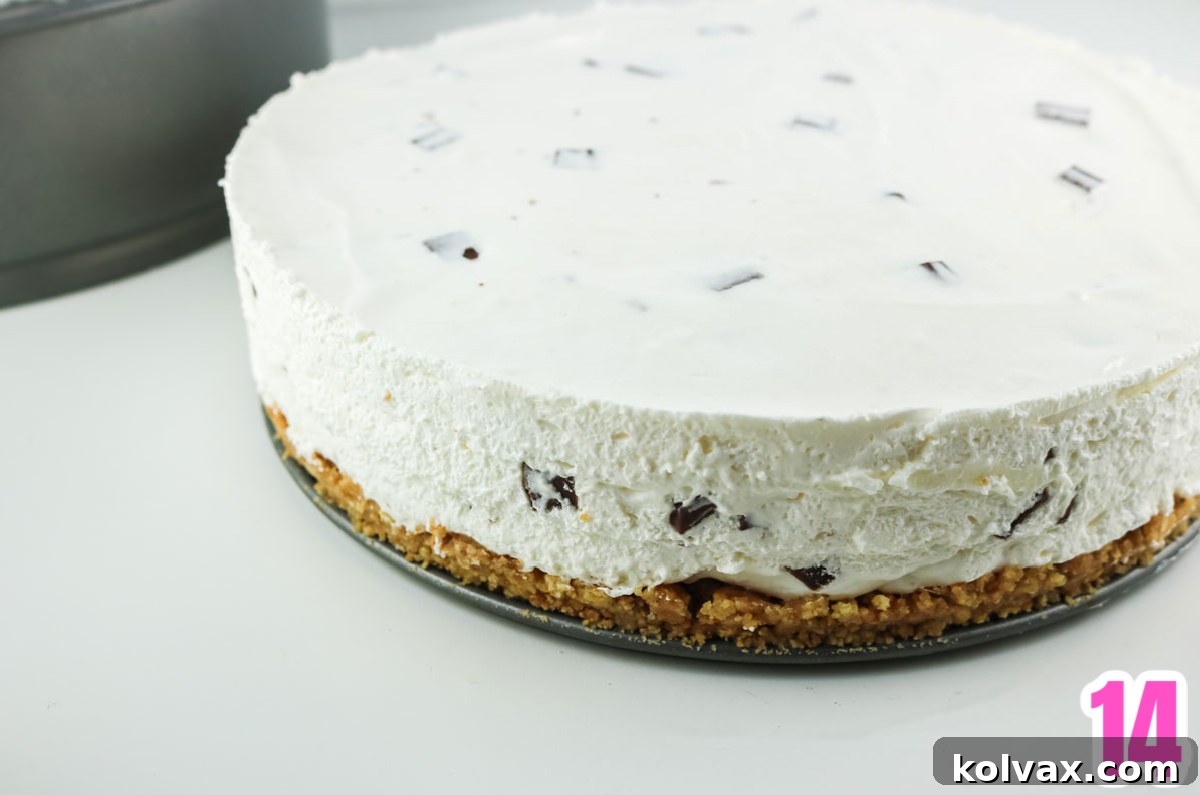 A whole S'more Pie, perfectly set and removed from the springform pan, showcasing its tall, elegant presentation on a white table.