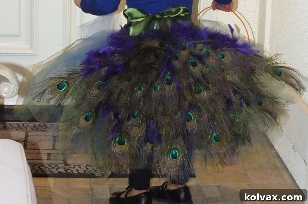 Make Your Own Majestic Peacock Outfit 2 Closeup on a child trick or treating in a DIY Peacock Costume.