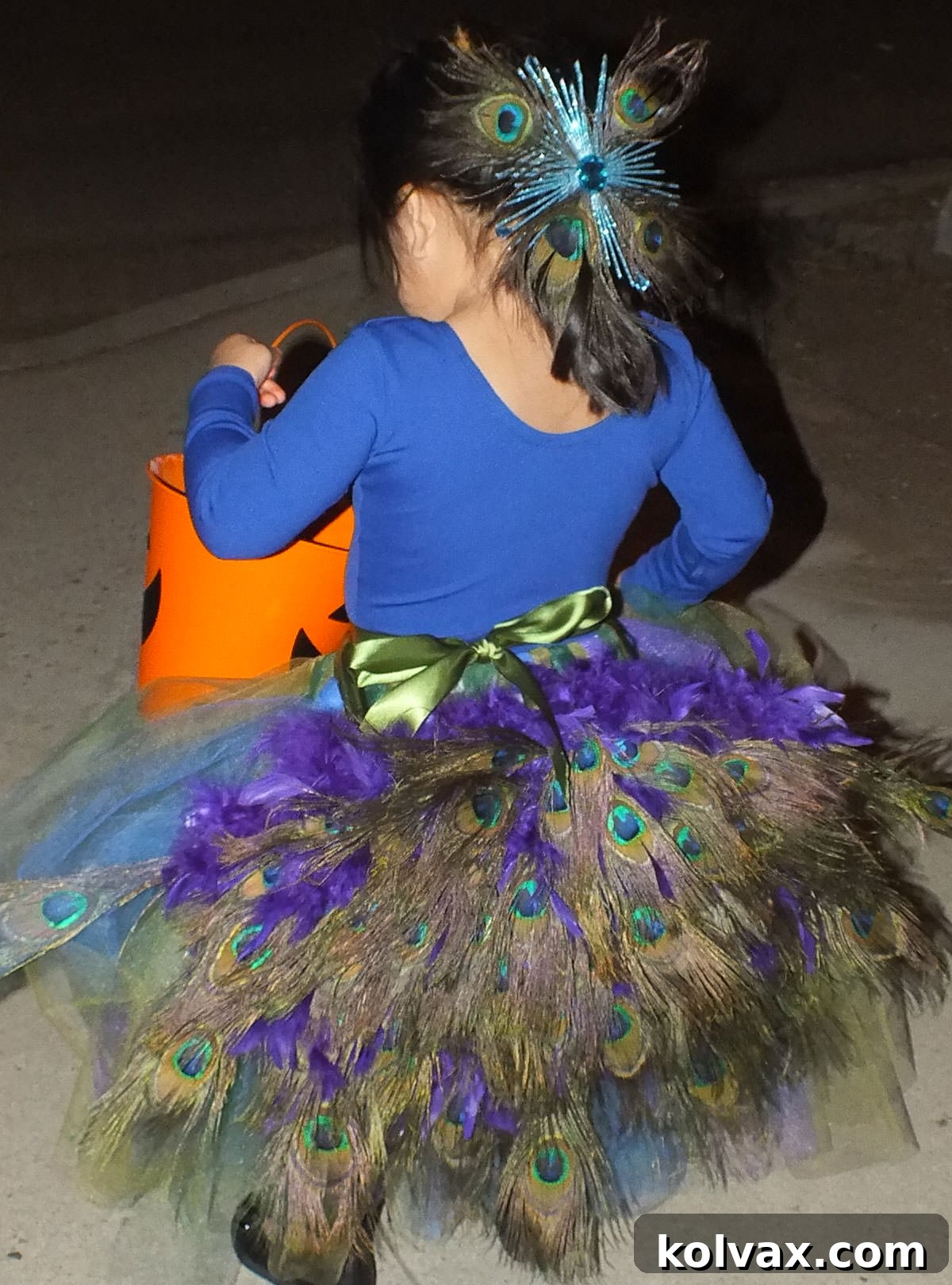 Make Your Own Majestic Peacock Outfit 8 Closeup of a small girl trick or treating in her DIY Peacock Costume.
