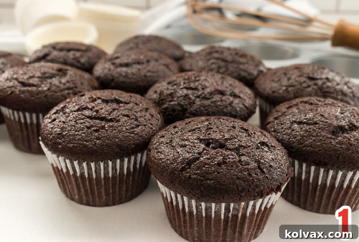 A beautifully arranged dozen chocolate cupcakes nestled in pristine white cupcake liners, presented neatly on a clean white table, ready for frosting.