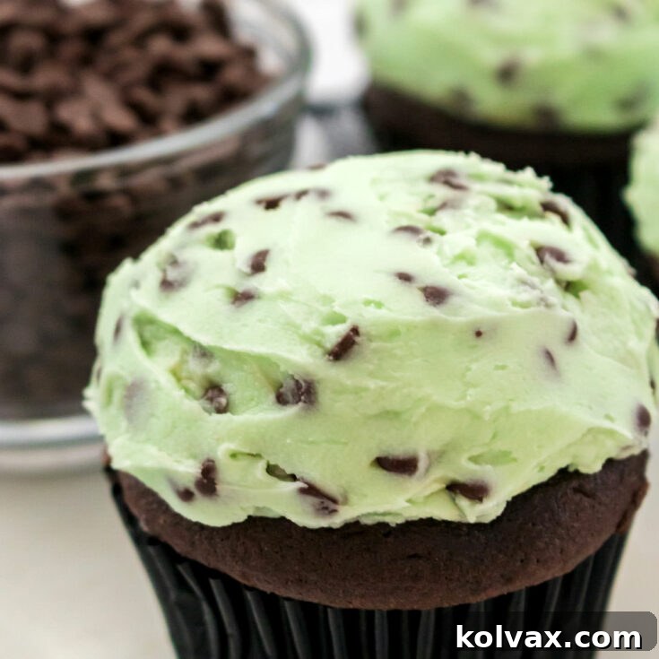 Mint Chocolate Chip Buttercream Frosting