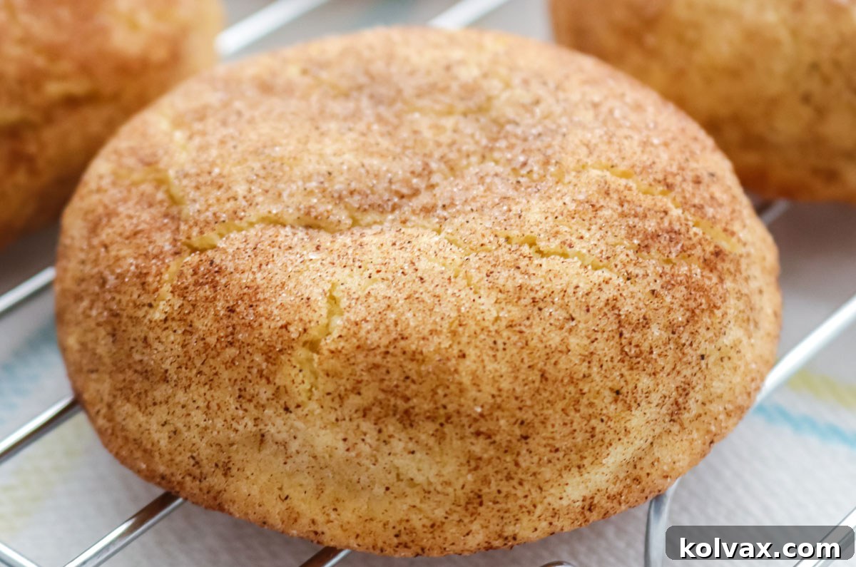 Melt-in-Your-Mouth Snickerdoodle Perfection 2 Closeup on a Snickerdoodle Cookie sitting on a wire cooling rack with a white table linen underneath the rack.