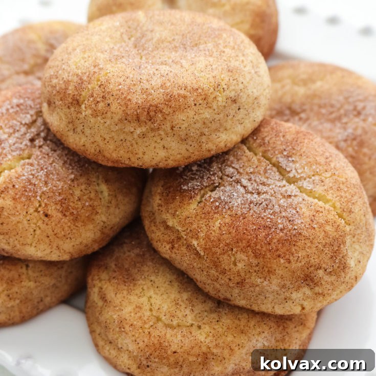 The Best Snickerdoodle Cookie Recipe