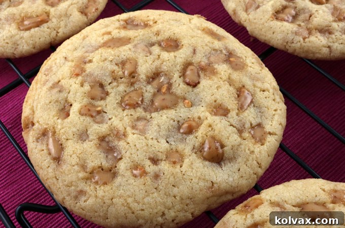 Warm, golden Toffee Chip Cookies cooling on a rack, showcasing their perfect bake.