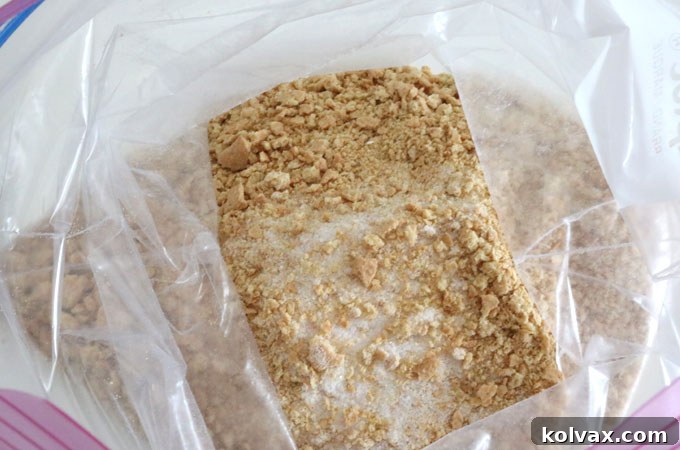 A hand shaking a sealed plastic bag containing graham cracker crumbs and sugar, ensuring they are thoroughly mixed together.