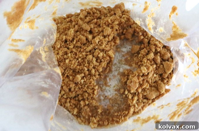 Whipping Up Nutter Butter Cookie Crusts 5 Nutter Butter cookie crumbs after crushing, showing a mix of fine and larger pieces.