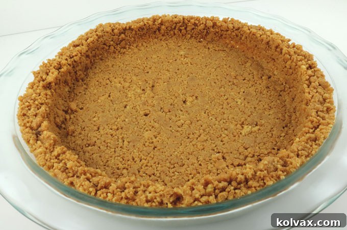 Whipping Up Nutter Butter Cookie Crusts 8 A perfectly pressed Nutter Butter cookie crust in a pie plate, ready for chilling or baking.