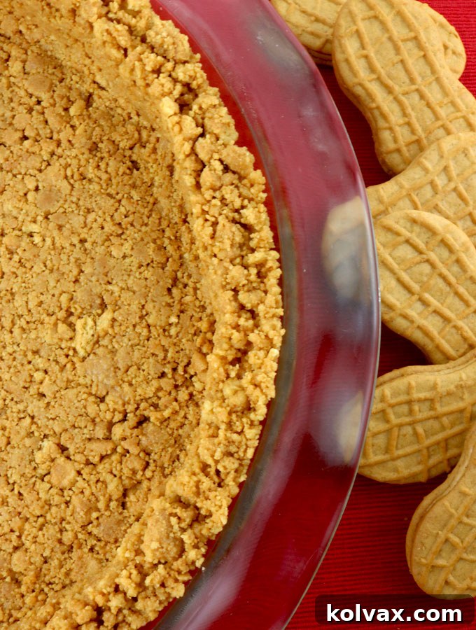 Whipping Up Nutter Butter Cookie Crusts 9 A stunning Nutter Butter cookie crust, perfectly chilled or baked, ready for your favorite pie filling.