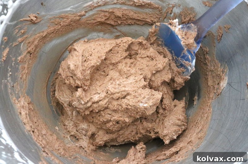 Finished Chocolate Whipped Cream Frosting: Perfectly Whipped and Ready