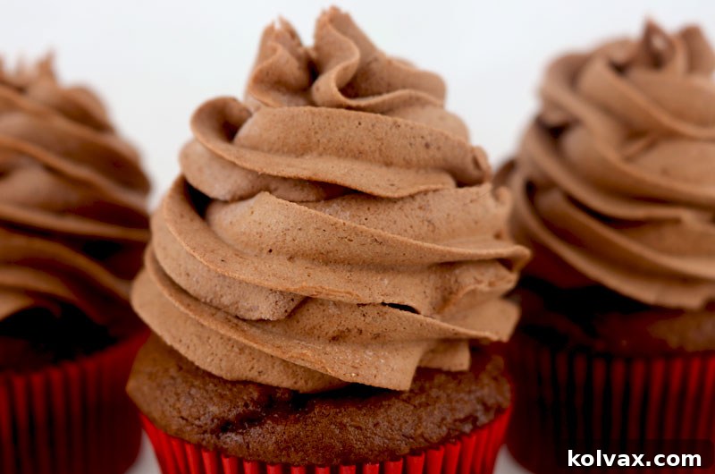 Light and Airy Chocolate Whipped Cream Frosting Ready for Piping