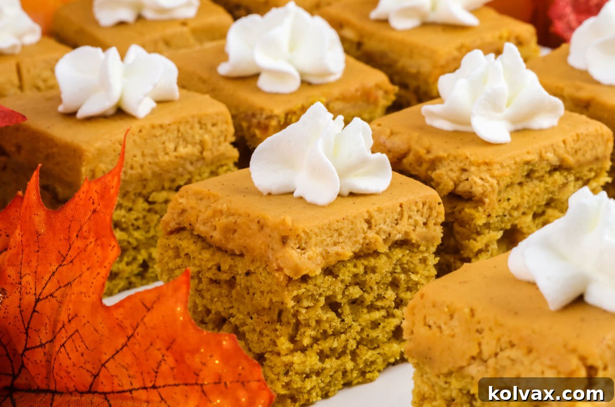 Closeup on a white plate filled with Pumpkin Spice Cake Bites topped with Whipped Cream. These mini cakes are perfect for Fall gatherings and Thanksgiving desserts.