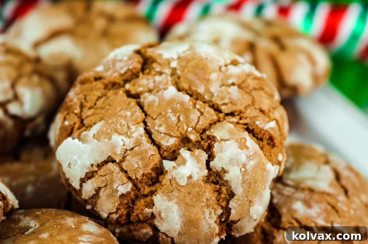 Festive Gingerbread Crinkles 2 Closeup on a single Gingerbread Crinkle Cookie sitting on a stack of cookies on a white platter, adorned with powdered sugar crinkles.