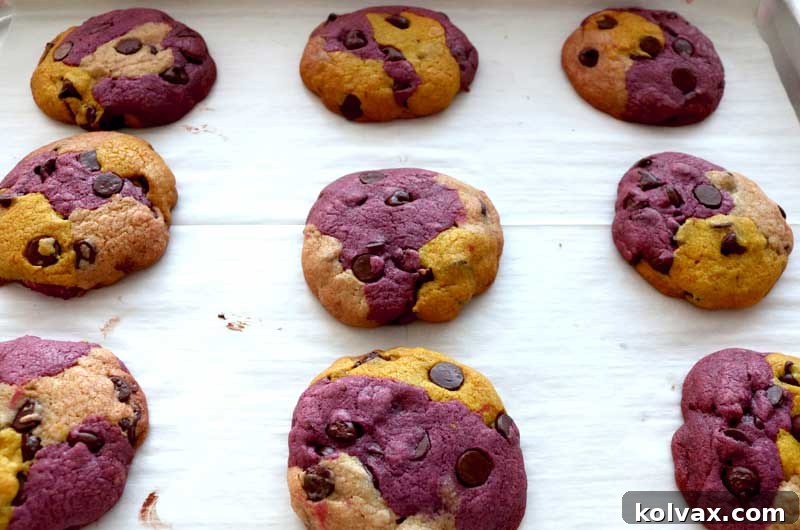 Freshly baked Minnesota Vikings Chocolate Chip Cookies, featuring vibrant purple and gold swirls, cooling on a rack right out of the oven.
