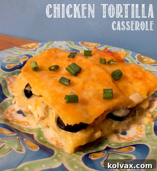 Delicious Chicken Tortilla Casserole Ready to Serve