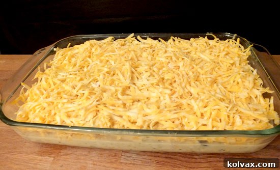 Sixth Layer of Chicken Tortilla Casserole with Final Shredded Cheese Topping