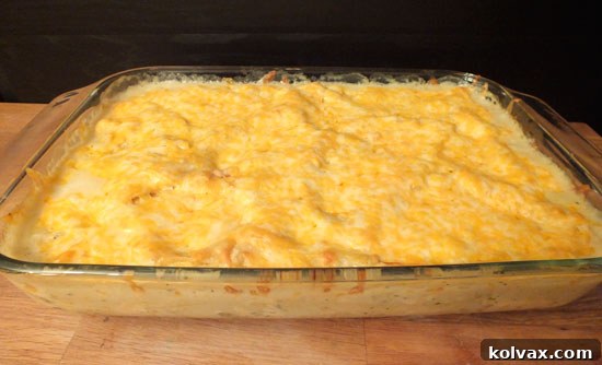 Baked Golden Brown Chicken Tortilla Casserole Fresh from the Oven