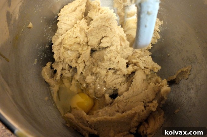 Adding egg and vanilla extract to cookie batter