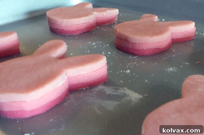 Third layer of the Ombre Easter Cookie